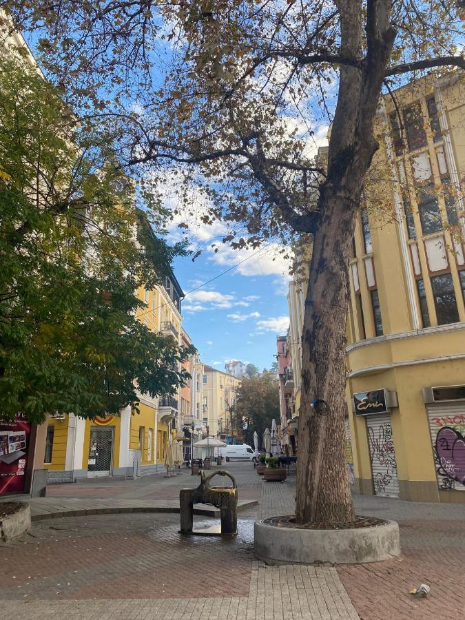 Anthora Hostel Plovdiv Bagian luar foto